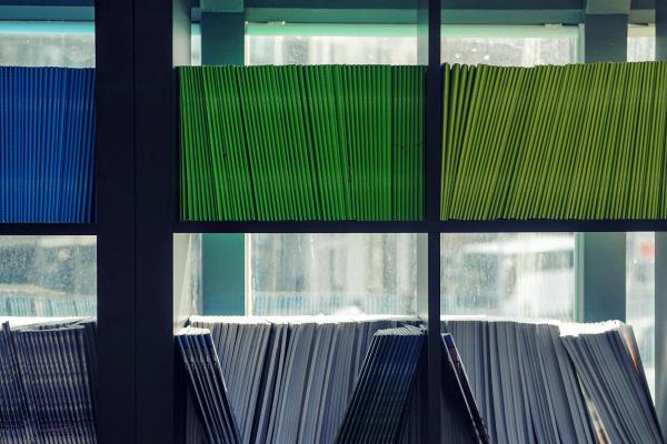 Bookshelf lined with books organized by color against a sunny window 