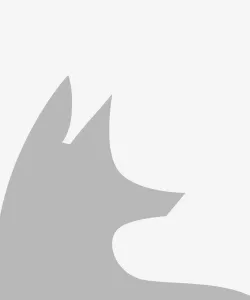 Gray fox silhouette on gray background